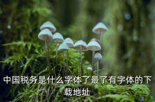 中國(guó)稅務(wù)是什么字體，中國(guó)稅務(wù)是什么字體了最了有字體的下載地址