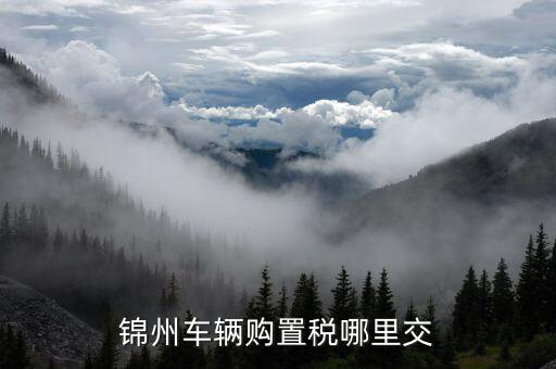 錦州國稅局車輛購置部門是什么，錦州機(jī)動車購置稅在哪里交