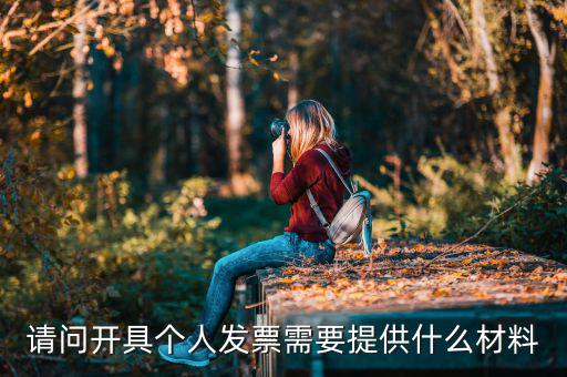 個人發(fā)票需要什么資料，個人購物開增值稅普通發(fā)票需要什么資料