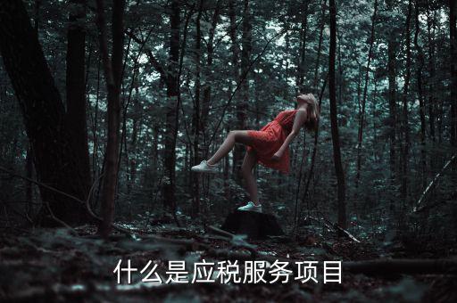 什么事納稅服務(wù)，什么是應(yīng)稅服務(wù)項目