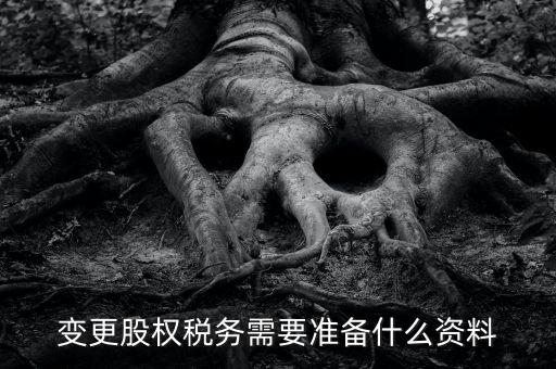 股權(quán)變更完稅憑證需要什么資料，變更股權(quán)稅務(wù)需要準備什么資料