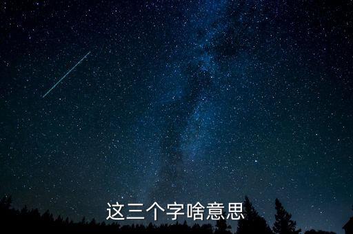 金三系統(tǒng)是什么意思，會(huì)計(jì)證外借給公司掛靠什么也沒(méi)做就被金三系統(tǒng)監(jiān)控了