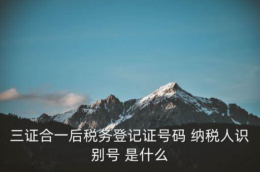 三證合一納稅識別號是什么，三證合一后納稅人識別號是什么意思