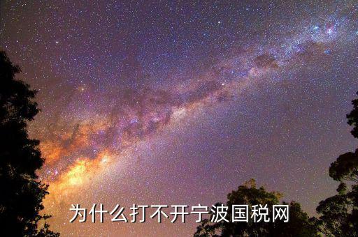 寧波國(guó)稅app為什么登陸不上，為什么打不開(kāi)寧波國(guó)稅網(wǎng)