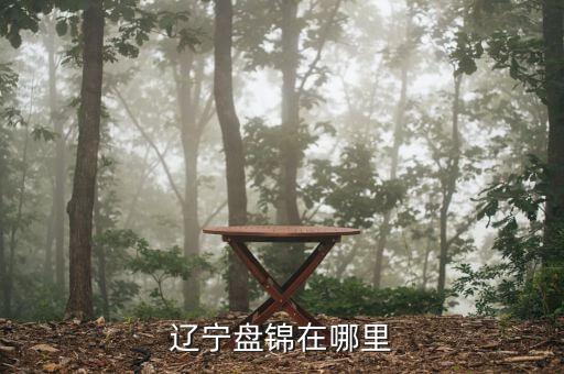 遼寧盤(pán)錦在哪里