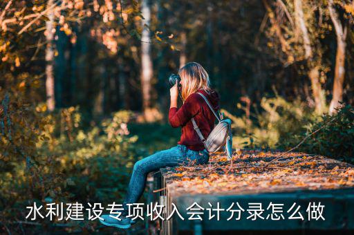 水利建設(shè)專項收入是什么，水利建設(shè)專項收入會計分錄怎么做
