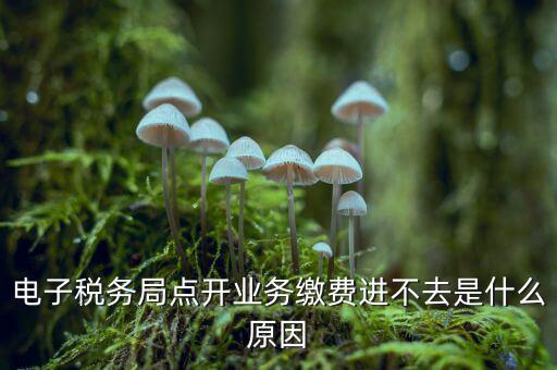 為什么江蘇省電子稅務(wù)局進(jìn)不去，請(qǐng)問電子稅務(wù)局登不上去怎么回事
