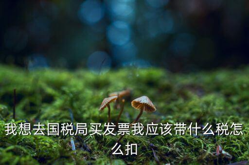 去國稅局扣稅需帶什么，我想去國稅局買發(fā)票我應(yīng)該帶什么稅怎么扣