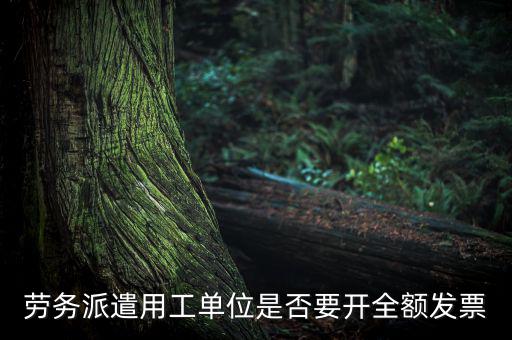 勞務派遣開什么票，勞務派遣小時工發(fā)票怎么開
