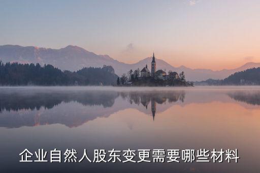 變更自然人登記業(yè)務(wù)需要帶什么，企業(yè)自然人股東變更需要哪些材料