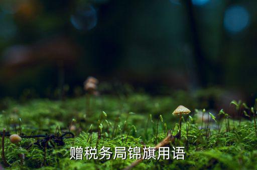 送錦旗給稅局可以寫什么內(nèi)容，贈稅務(wù)局錦旗用語