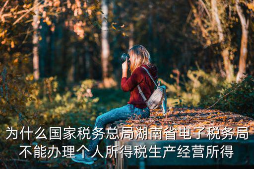 電子稅務(wù)局里面為什么沒有個稅，個人所得稅查不到怎么回事