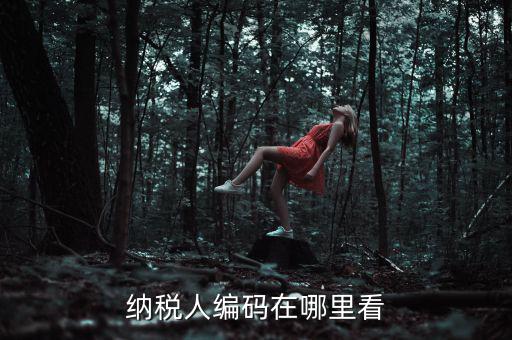 地稅稅源編號是什么，建筑業(yè)地稅稅源編號指的是啥