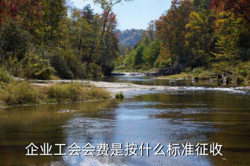 工會(huì)按什么征收，企業(yè)工會(huì)會(huì)費(fèi)是按什么標(biāo)準(zhǔn)征收