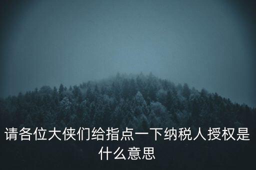 納稅人獲得感是什么意思，請各位大俠們給指點一下納稅人授權是什么意思