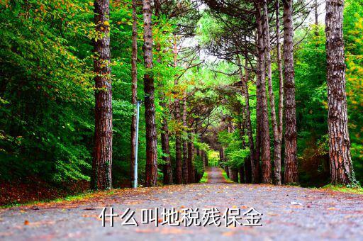 地稅為什么要收殘疾基金，地稅要征收殘疾人保證金