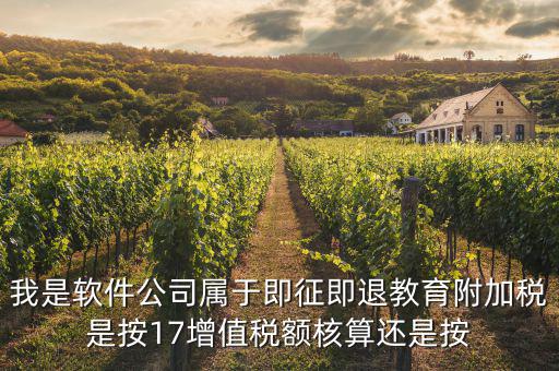 軟件企業(yè)交什么稅，軟件企業(yè)增值稅即征即退指的是什么