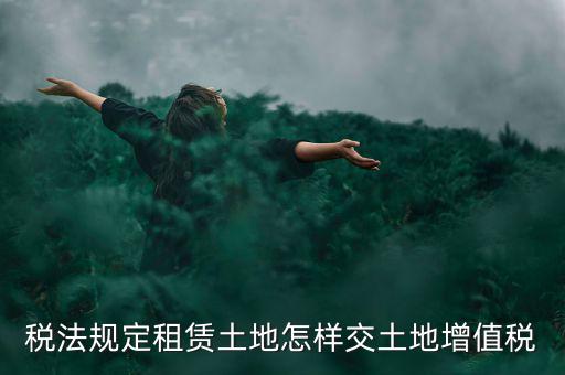 租用土地要交什么稅，土地租賃應(yīng)該繳哪些稅收