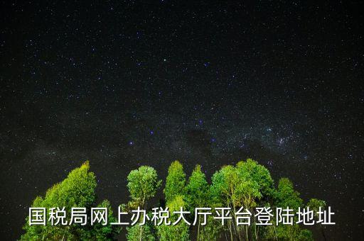 國(guó)稅網(wǎng)什么網(wǎng)站可以登錄，河北國(guó)稅網(wǎng)上辦稅服務(wù)廳用戶登錄地址