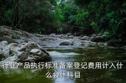 備案費入什么科目，行業(yè)產(chǎn)品執(zhí)行標準備案登記費用計入什么會計科目