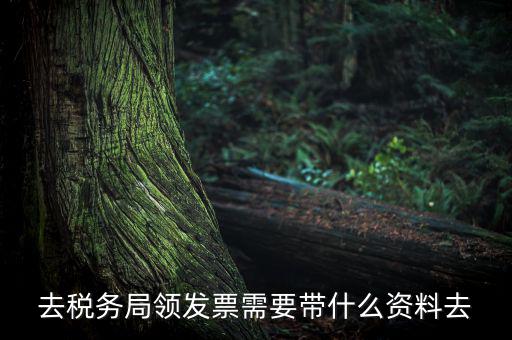 去稅務局領(lǐng)發(fā)票需要帶什么資料去