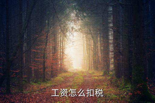 員工工資中的稅是按什么扣的，工資怎么扣稅