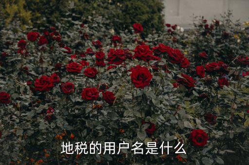 地稅登錄子賬號是什么，地稅的用戶名是什么