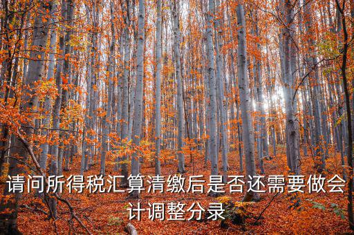 請問所得稅匯算清繳后是否還需要做會(huì)計(jì)調(diào)整分錄