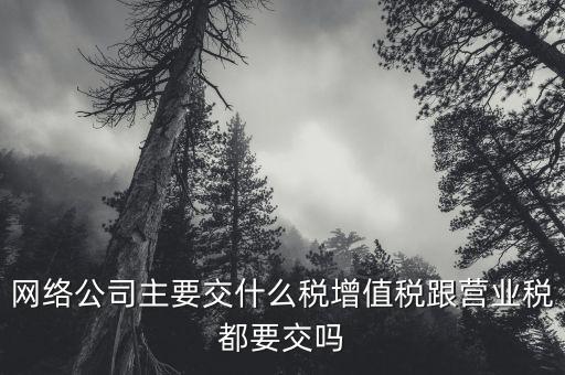 互聯(lián)網(wǎng)企業(yè)交什么稅，互聯(lián)網(wǎng)公司在稅收上有何政策