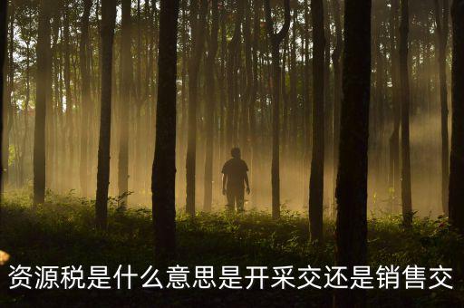 資源稅是什么意思是開(kāi)采交還是銷售交