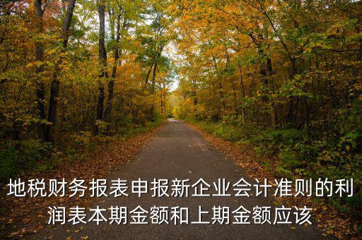 地稅利潤(rùn)表的上期金額指什么，新會(huì)計(jì)制度下利潤(rùn)表中本期金額和上期金額是什么意思