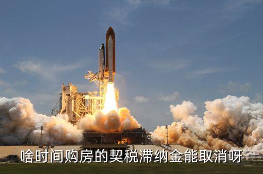 契稅什么時候扣掉，國稅和地稅繳稅期限是什么時候