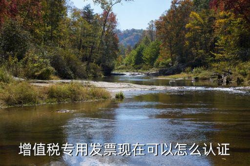 增值稅專用發(fā)票現在可以怎么認證
