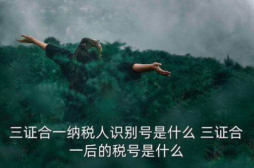 三證合一后稅號(hào)是什么，三證合一納稅人識(shí)別號(hào)是什么 三證合一后的稅號(hào)是什么