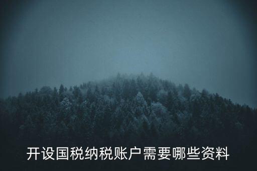 開(kāi)國(guó)稅都需要帶什么資料，開(kāi)設(shè)國(guó)稅納稅賬戶需要哪些資料
