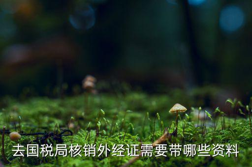 核銷外經(jīng)證地稅那做什么，去國(guó)稅局核銷外經(jīng)證需要帶哪些資料