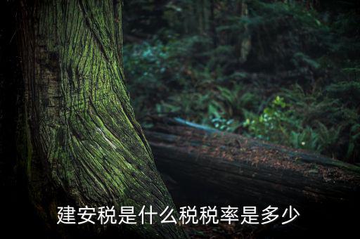 建安稅按什么征，營改增后建安稅稅種稅率有哪些