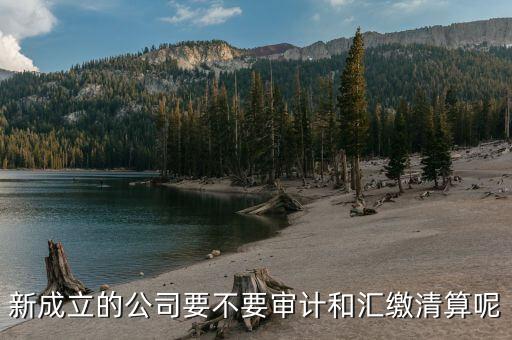 匯繳清算是什么意思，交清和繳清是一個(gè)意思嗎
