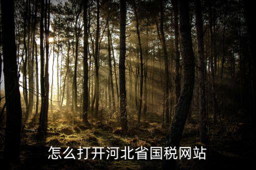 河北稅務(wù)官網(wǎng)是什么意思，怎么打開河北省國稅網(wǎng)站