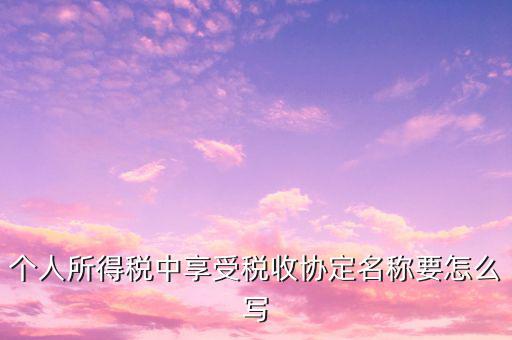 個(gè)人所得稅中享受稅收協(xié)定名稱要怎么寫