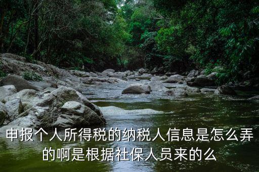 納稅人信息包括什么，申報(bào)個(gè)人所得稅的納稅人信息是怎么弄的啊是根據(jù)社保人員來的么