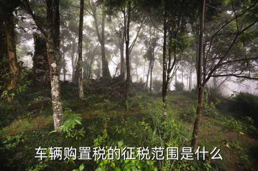 車輛購置稅征收范圍由什么決定，車輛購置稅的征稅范圍是什么