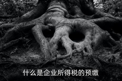 什么是預(yù)交企業(yè)所得稅，什么是企業(yè)所得稅的預(yù)繳