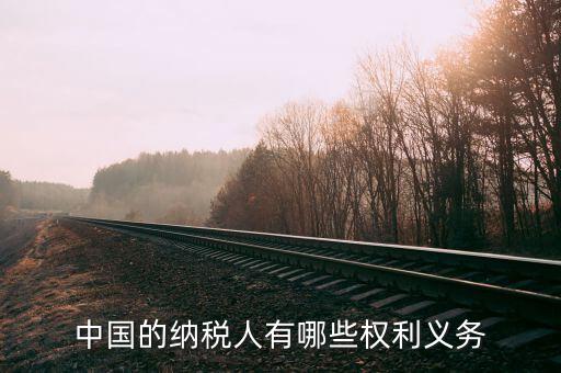 納稅服務什么權，中國的納稅人有哪些權利義務