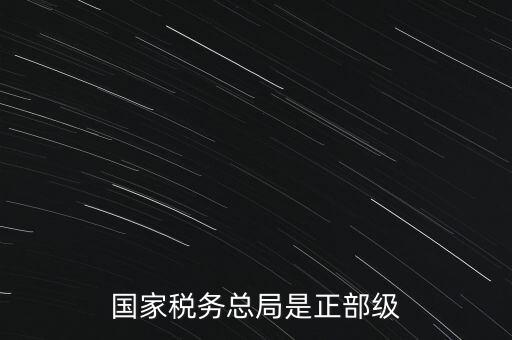 稅務(wù)大廳主任什么級別，金河鎮(zhèn)稅務(wù)務(wù)局局長是什么級別