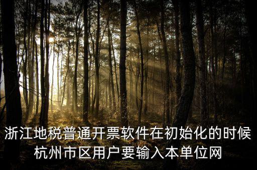 浙江網(wǎng)上稅務(wù)局的注冊碼是什么，浙江地稅因特網(wǎng)辦稅服務(wù)系統(tǒng)注冊碼過期