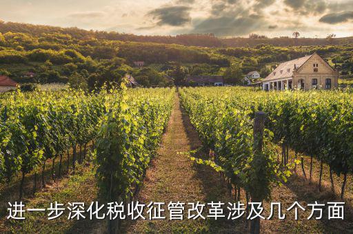 稅務(wù)改革 發(fā)展要什么，論述個人所得稅改革的基本原則