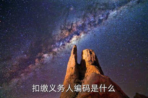 個稅系統(tǒng)扣繳義務(wù)人編碼是什么，扣繳義務(wù)人編碼是什么
