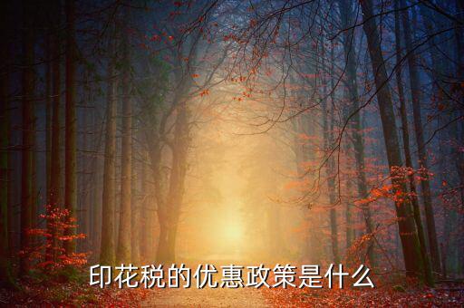 簡述印花稅的優(yōu)惠政策是什么，印花稅的優(yōu)惠政策是什么