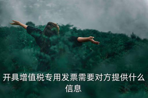 稅務(wù)專票需要什么資料，第一次辦理增值稅專用發(fā)票認證需要什么資料